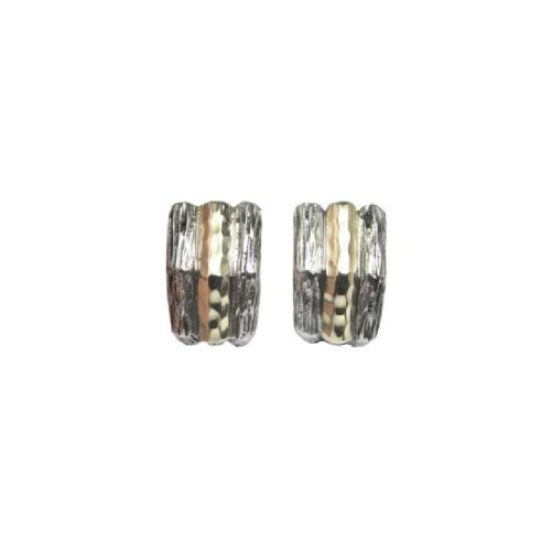 Arracades de Plata i Or - BSP 4020