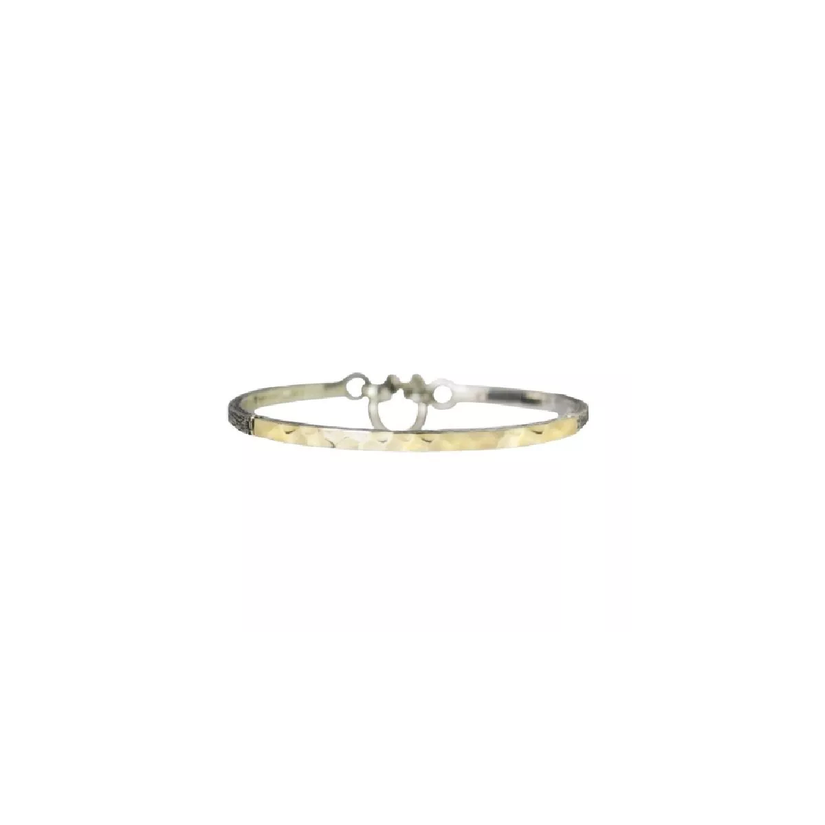 Pulsera en Plata y Oro - PSP 1673