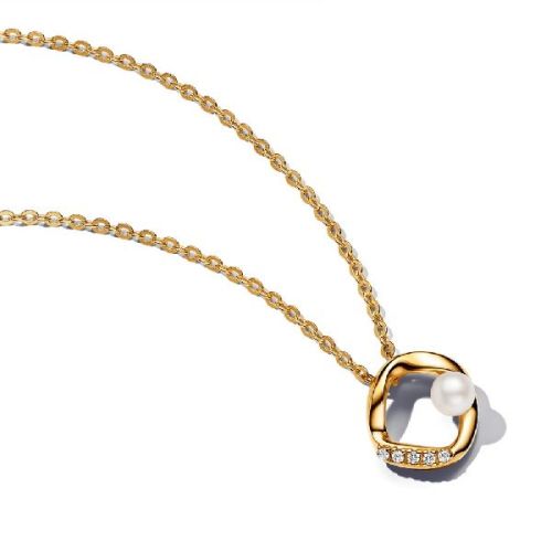 Collaret Forma Orgànica Pandora - 363303C01-45