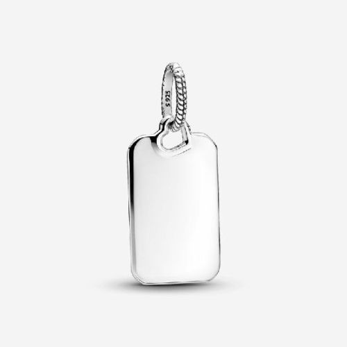 Colgante Rectangular Grabable Pandora - 398611C00