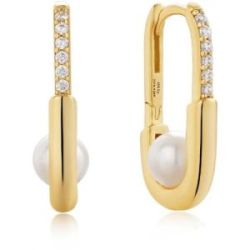ARRACADES D’OR AMB PERLA I CIRCONITES - E054-04G
