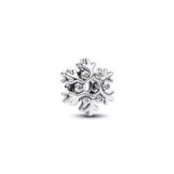 Charm Copo de Nieve - 794249C01