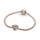 Charm Corazones Brillantes Entrelazados - 789270C01
