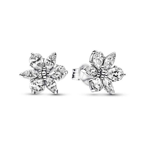 Arracades en plata Herbari Brillant - 292633C01